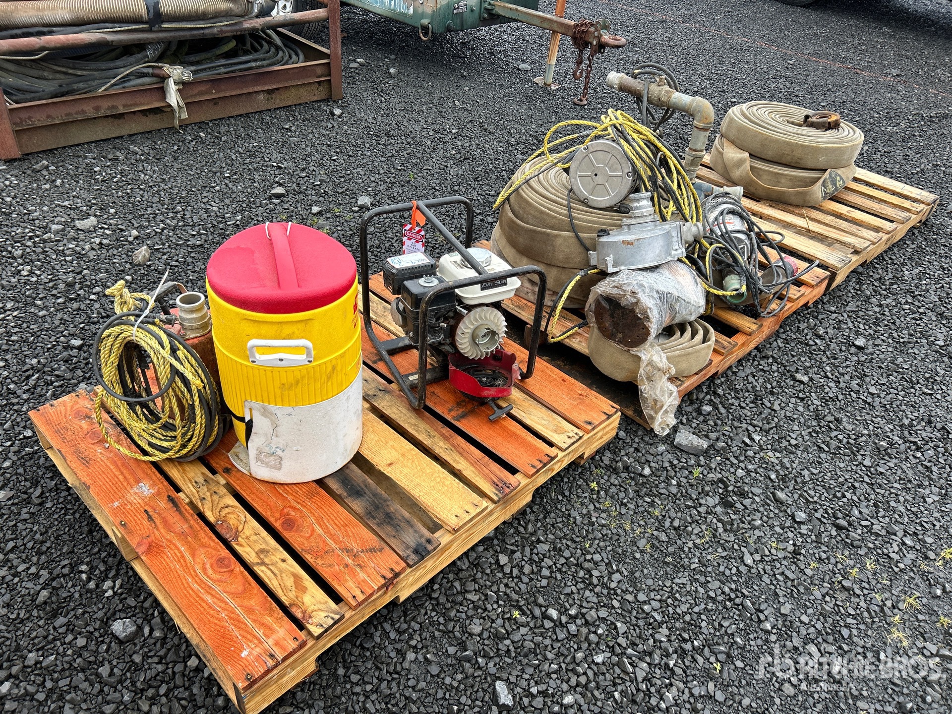 General Appearance with Zdjęcie, lewy dolny róg