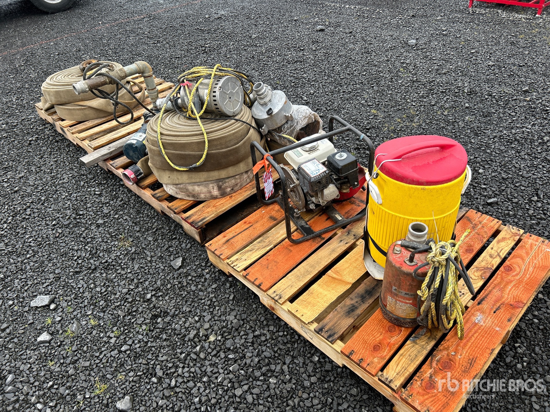 General Appearance with Zdjęcie, prawy dolny róg