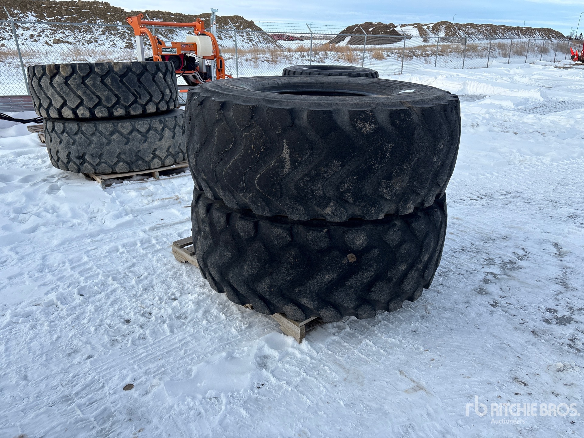 General Appearance with Zdjęcie, prawy górny róg