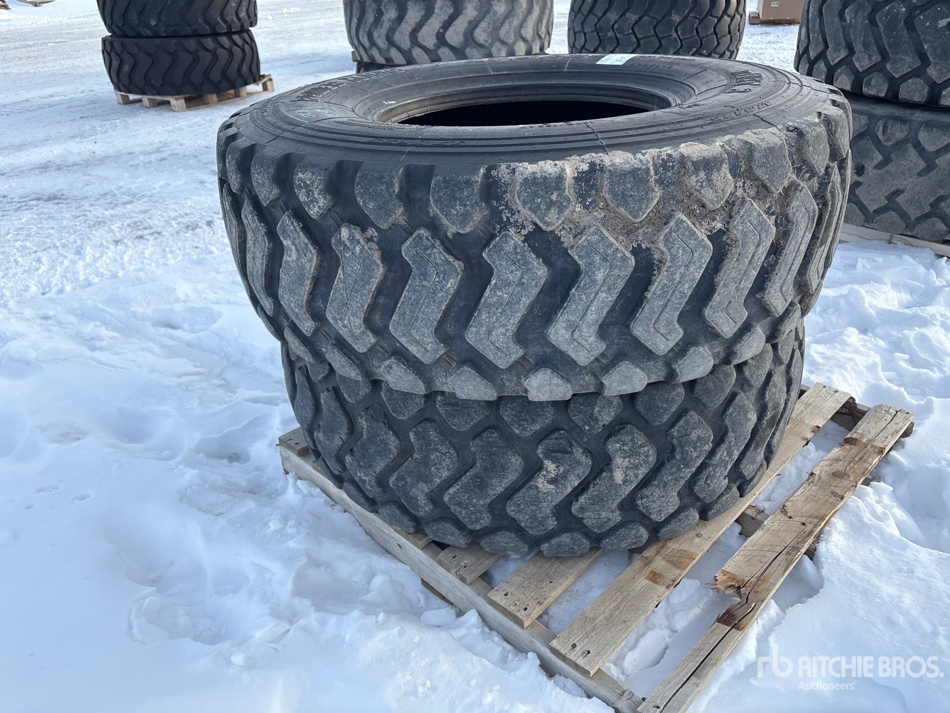 General Appearance with Zdjęcie, lewy dolny róg