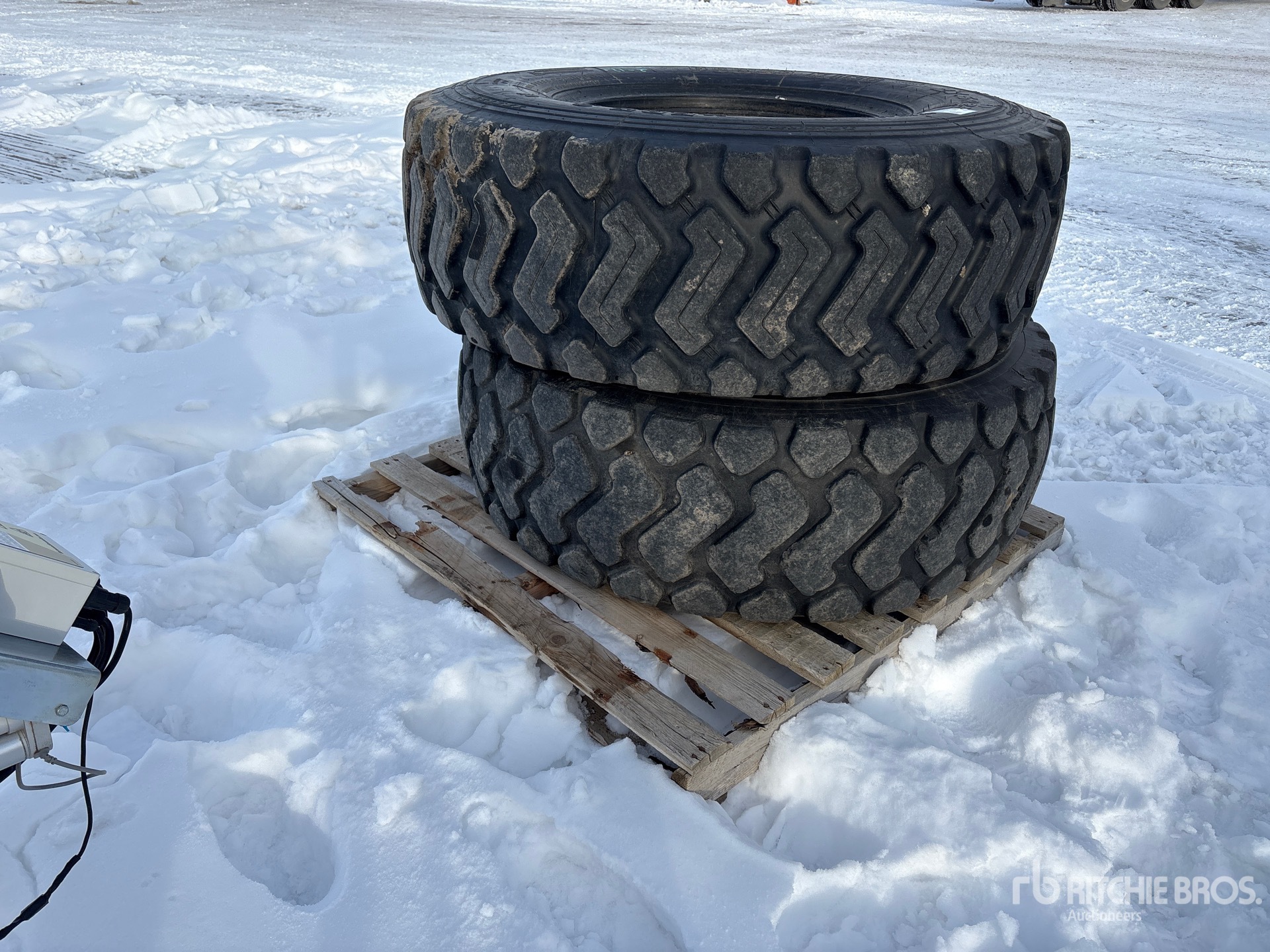 General Appearance with Zdjęcie, prawy dolny róg