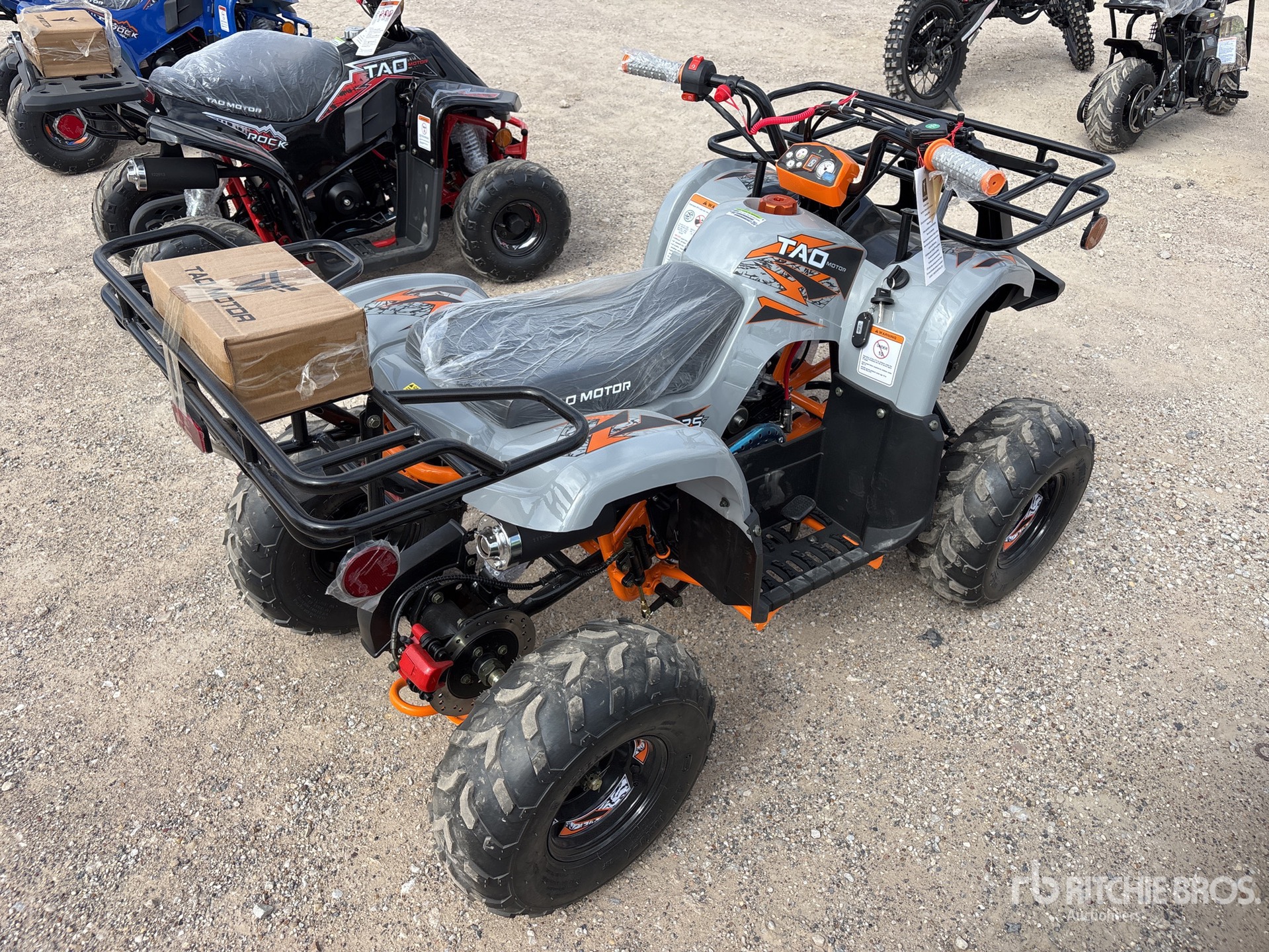 General Appearance with Image, coin arrière droit