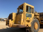 General Appearance with Paint