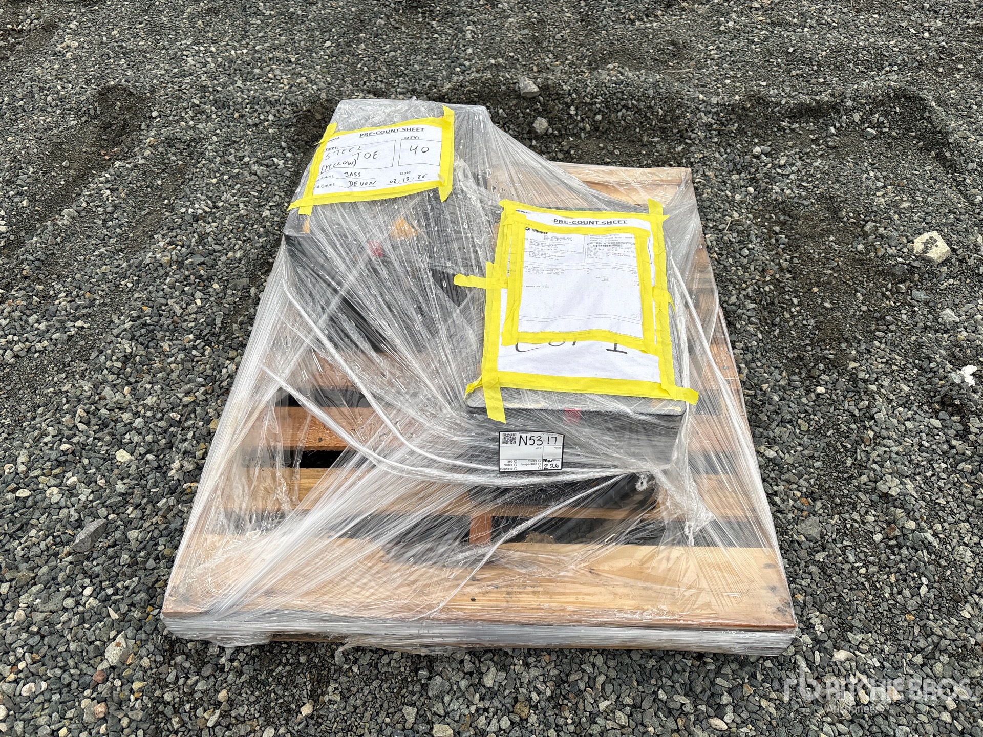 General Appearance with