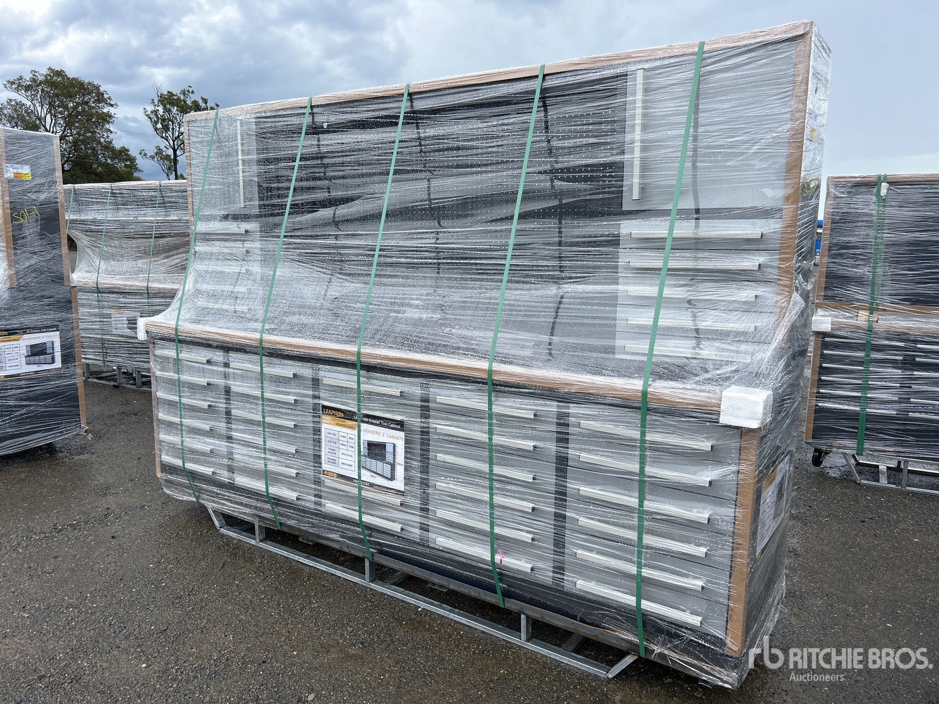 General Appearance with Picture, Left Front Corner