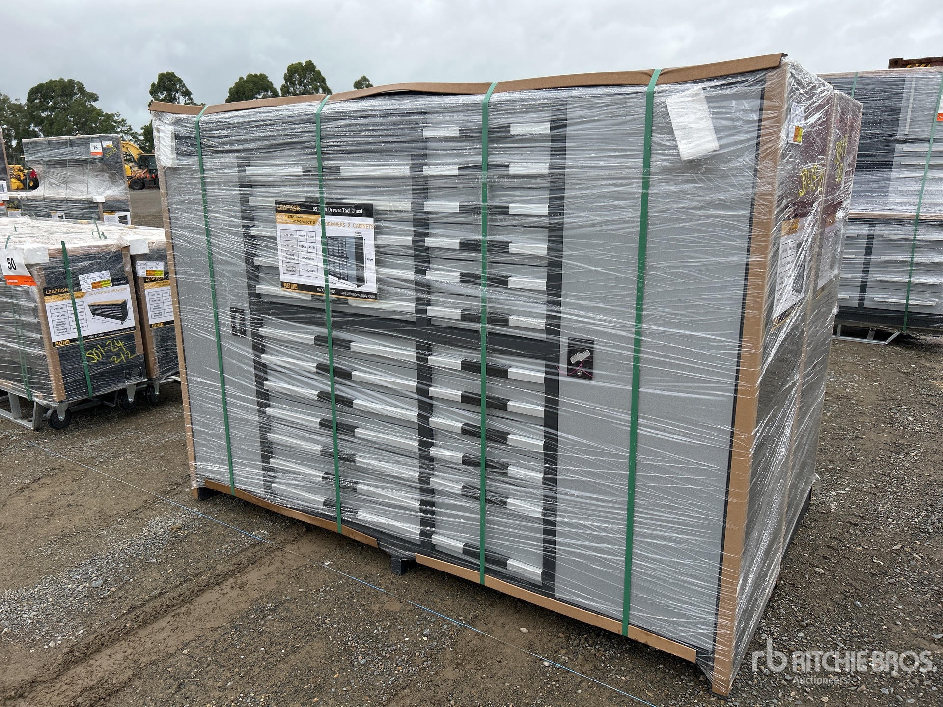 General Appearance with Picture, Left Front Corner