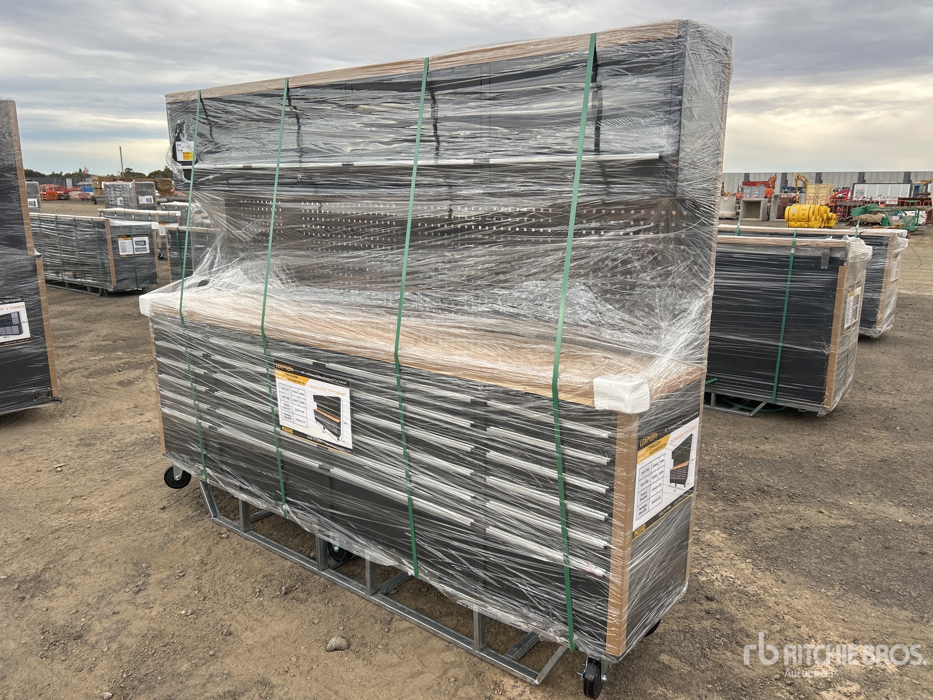 General Appearance with Picture, Left Front Corner