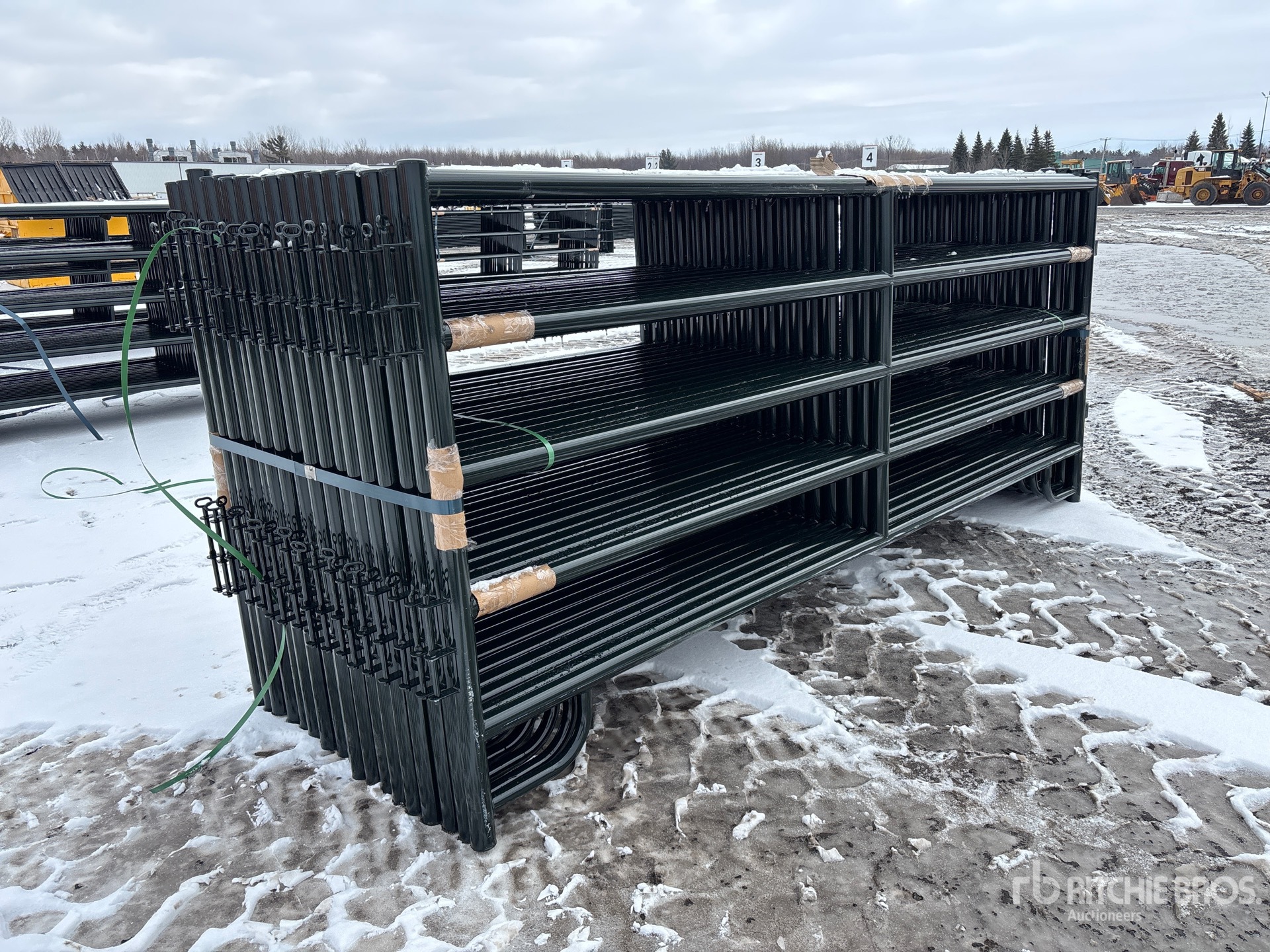 General Appearance with Image, coin avant droit