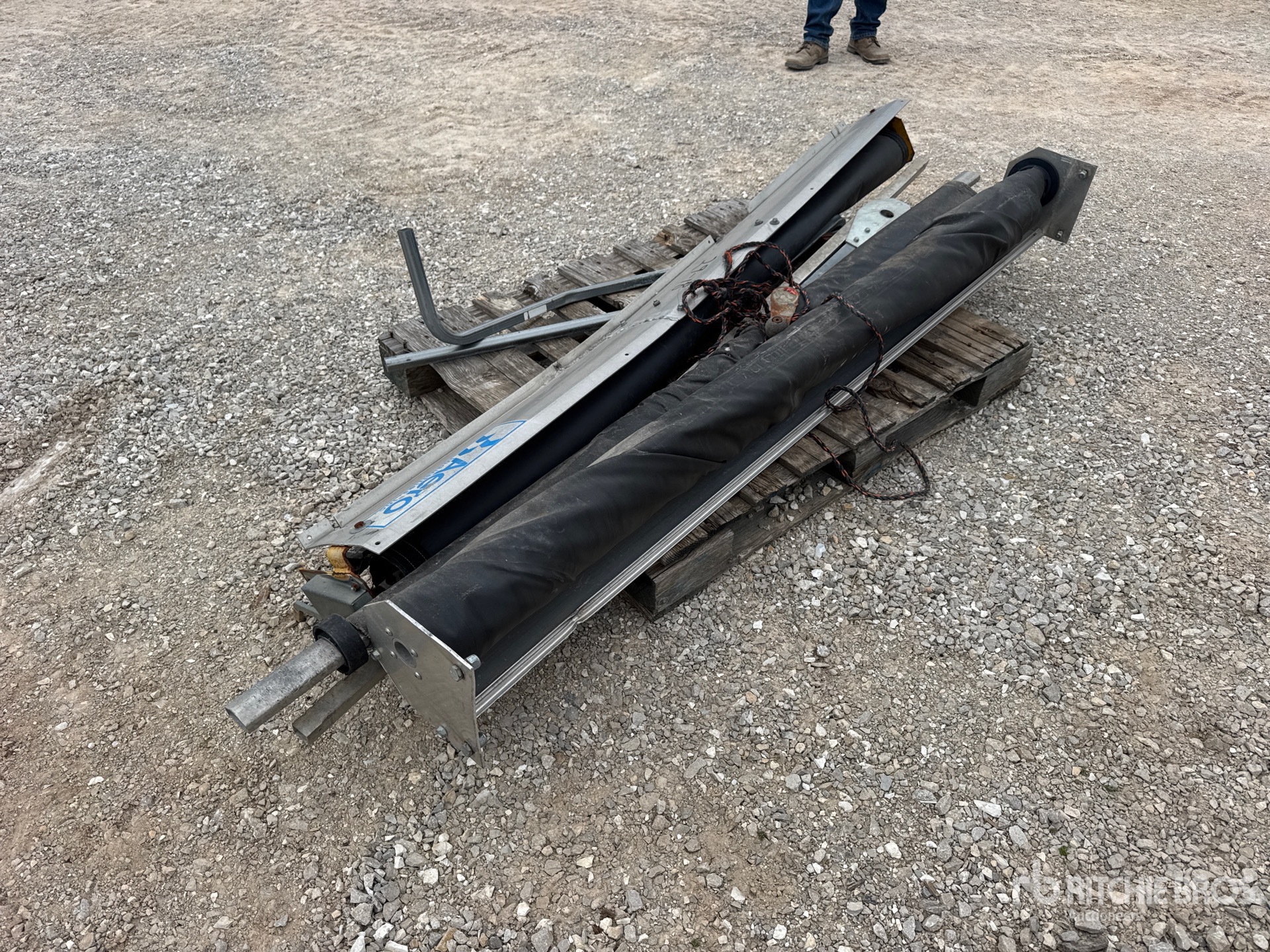 General Appearance with Zdjęcie, prawy dolny róg