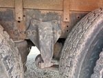 Underbody with Suspension Springs/Hangers