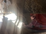 Underbody with Axle Bump Stops