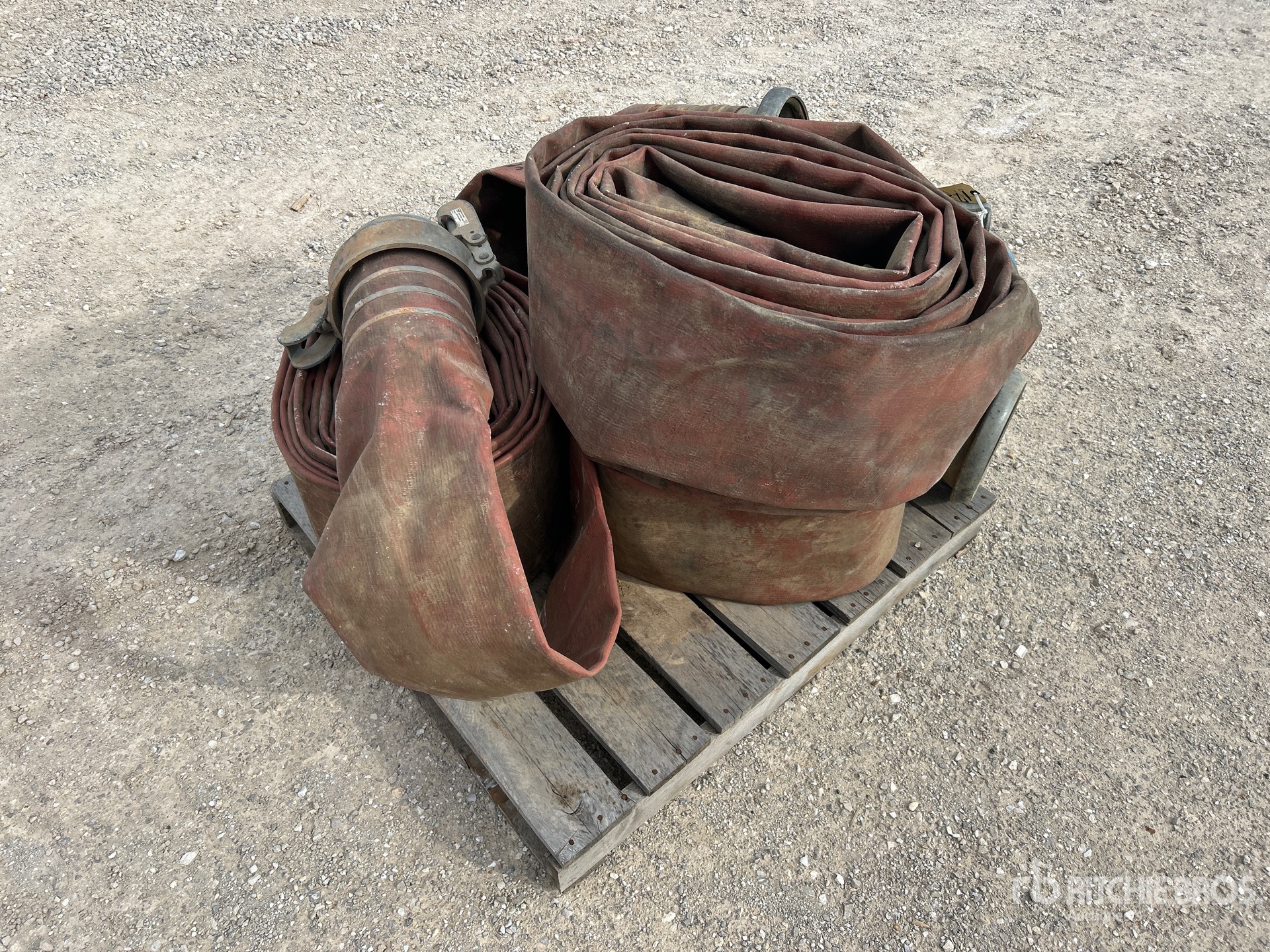 General Appearance with Zdjęcie, prawy górny róg