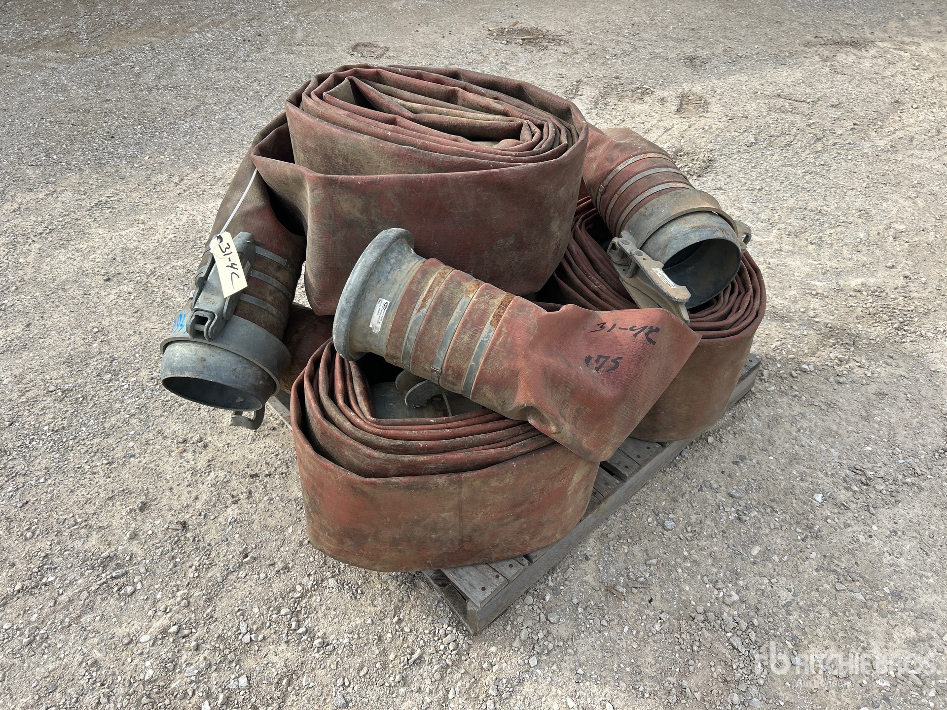 General Appearance with Zdjęcie, lewy dolny róg