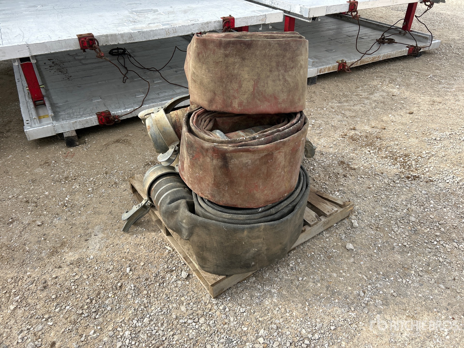 General Appearance with Zdjęcie, lewy dolny róg