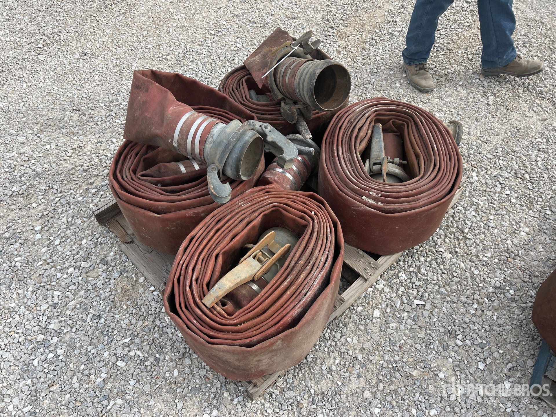 General Appearance with Zdjęcie, prawy górny róg