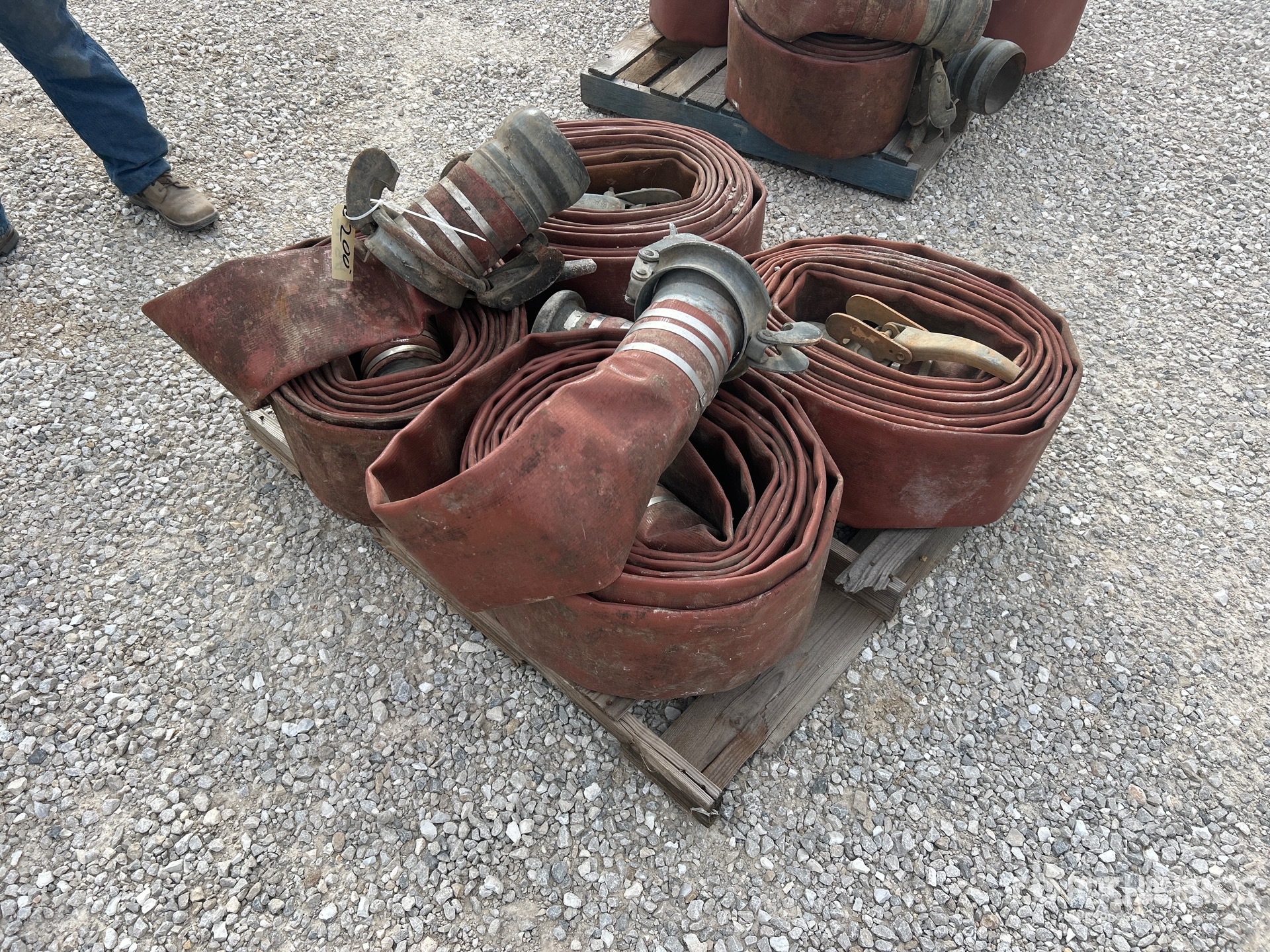 General Appearance with Zdjęcie, prawy dolny róg