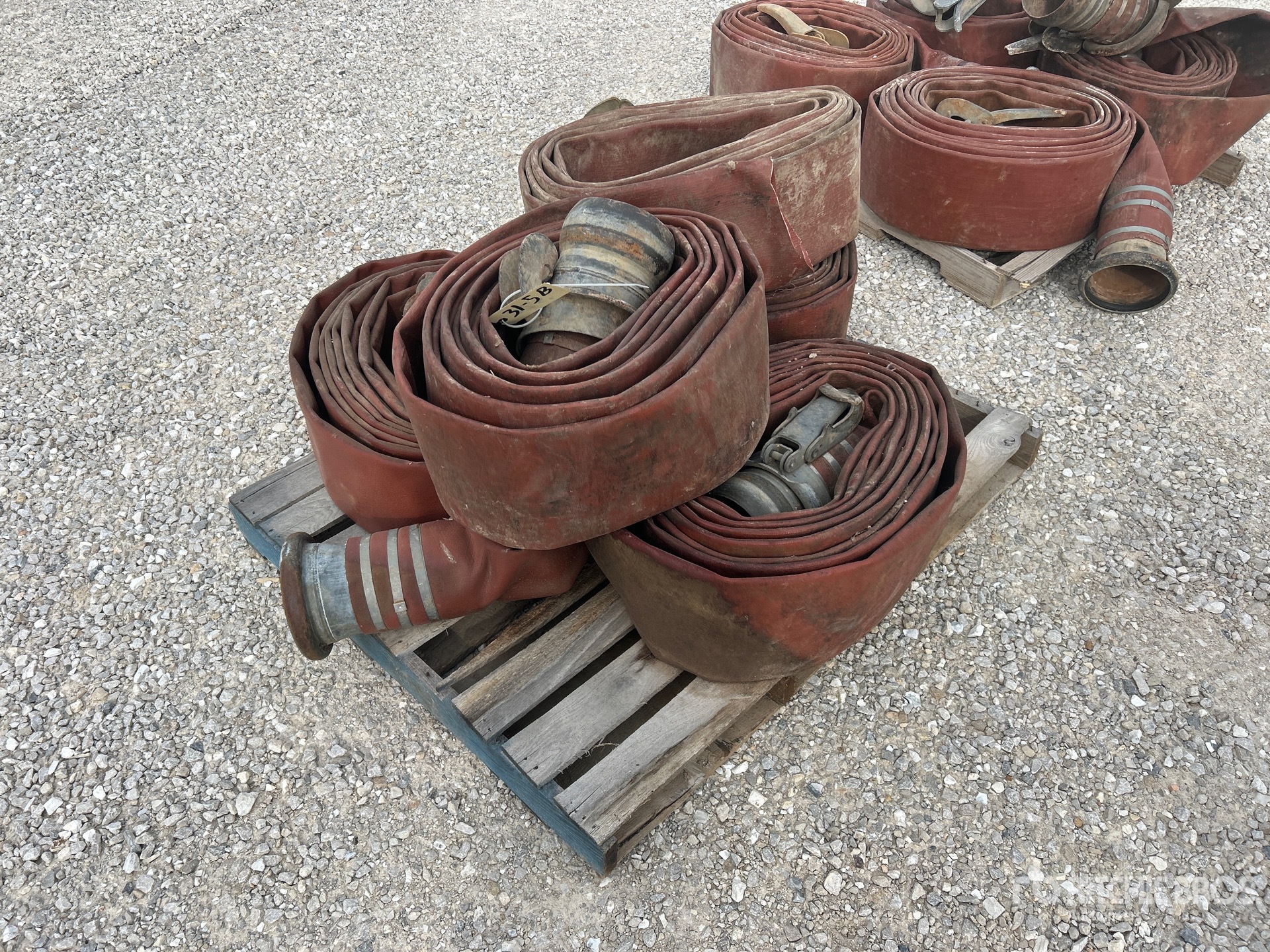 General Appearance with Zdjęcie, prawy górny róg