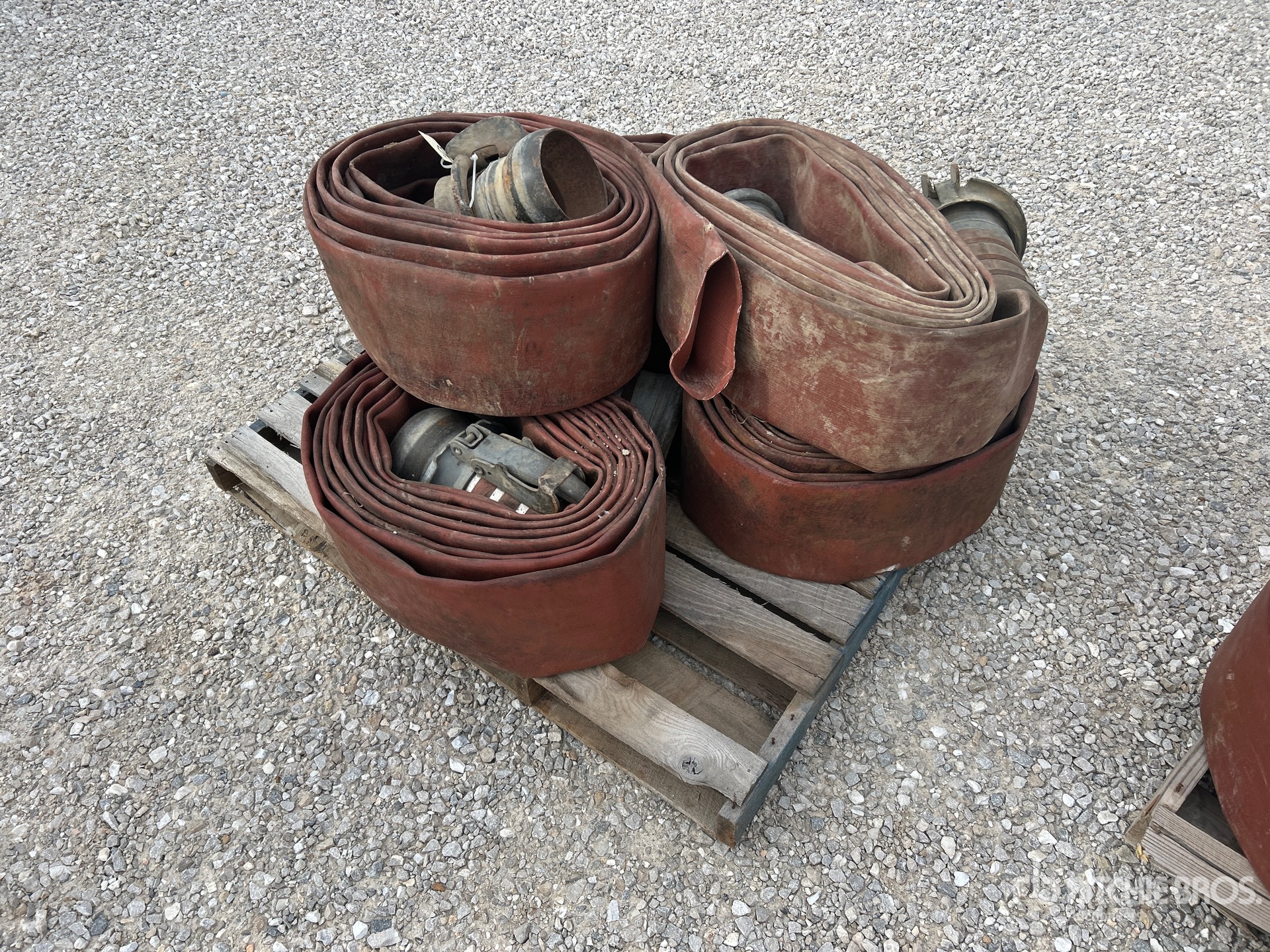 General Appearance with Zdjęcie, lewy górny róg