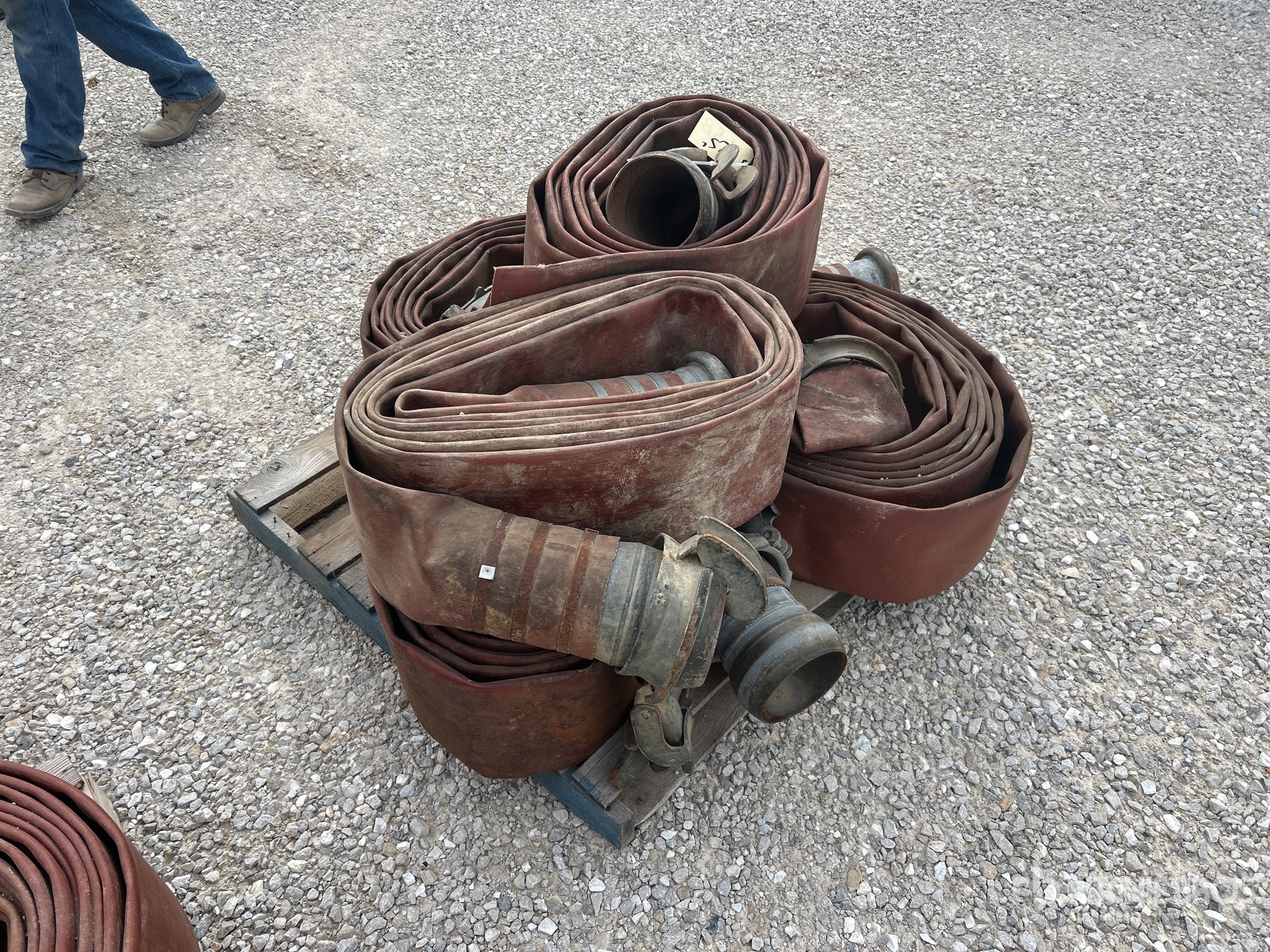 General Appearance with Zdjęcie, lewy dolny róg