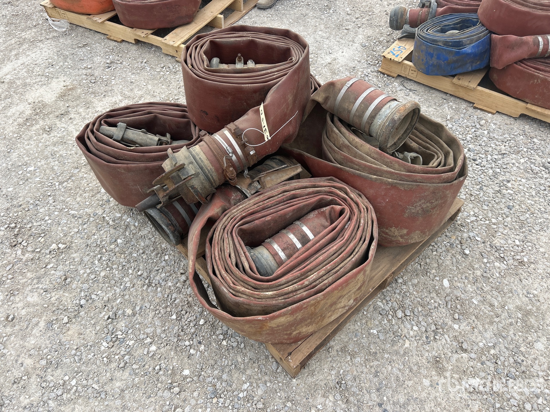 General Appearance with Zdjęcie, lewy dolny róg