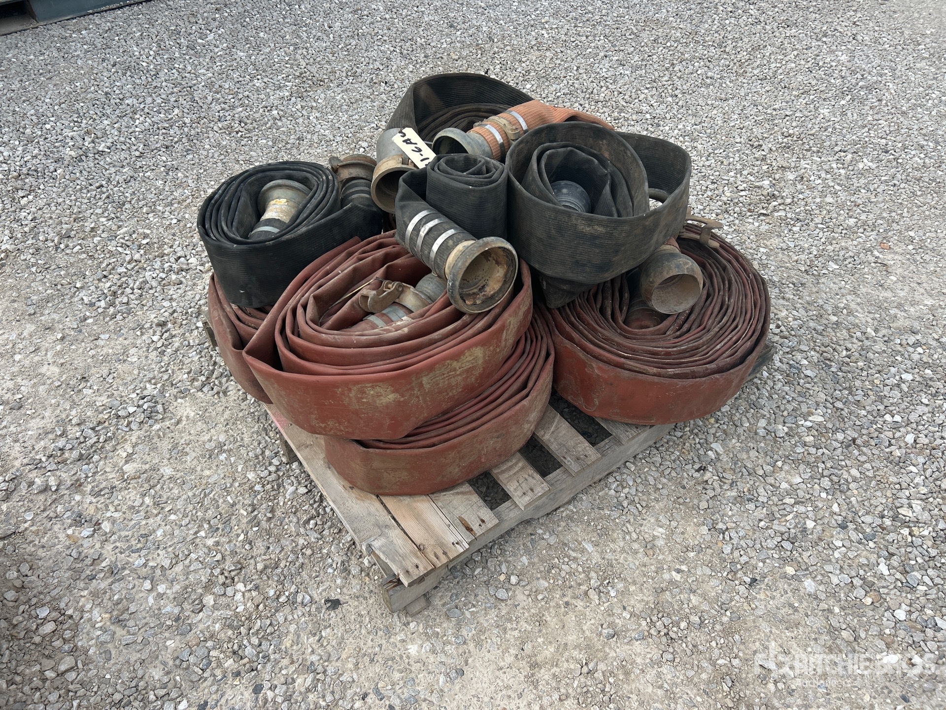 General Appearance with Zdjęcie, lewy dolny róg