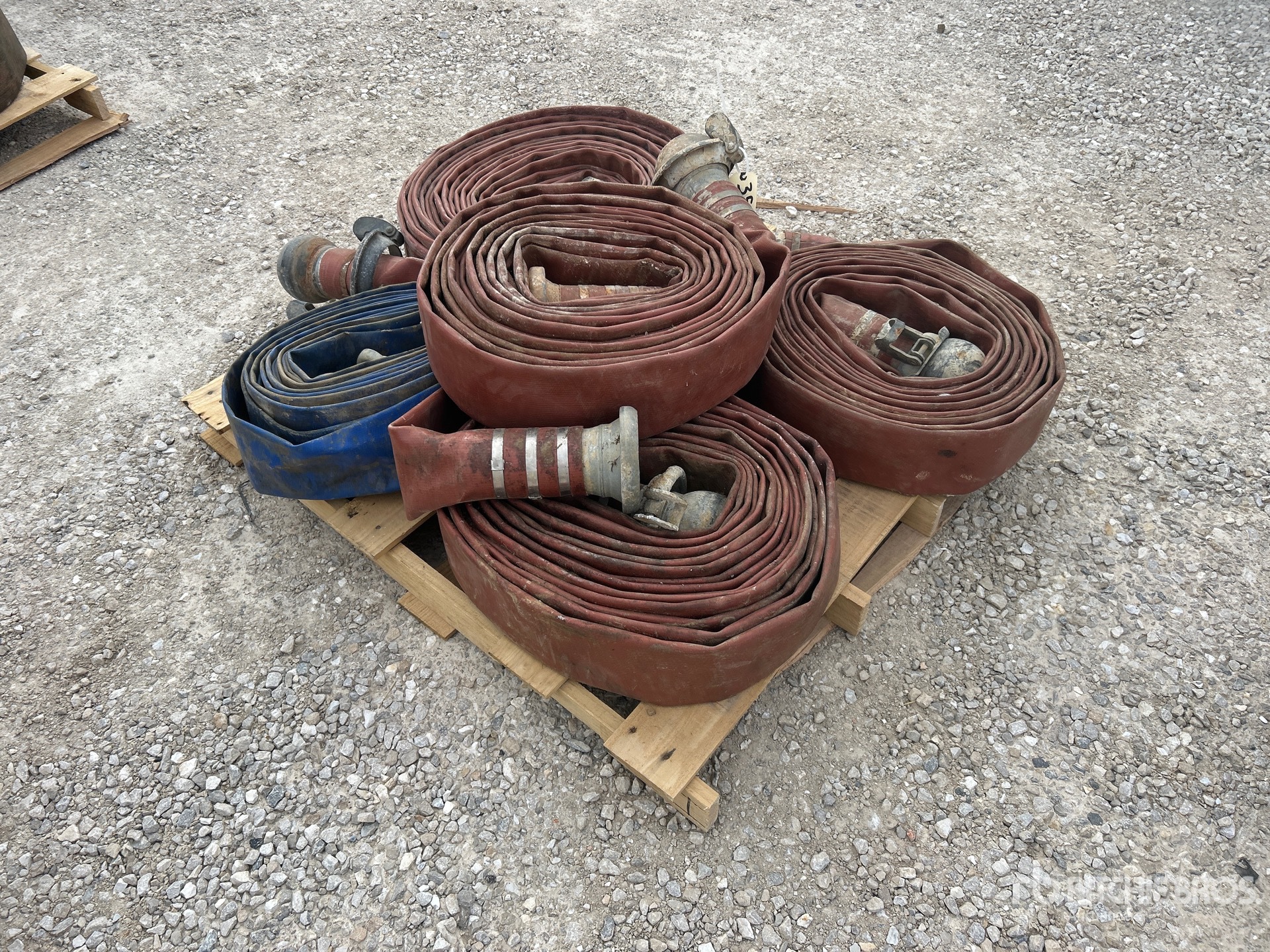 General Appearance with Zdjęcie, prawy dolny róg