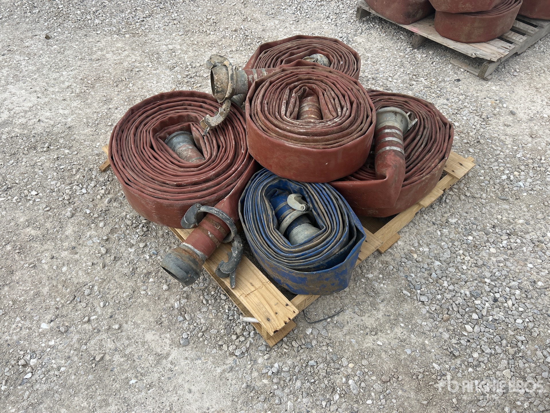 General Appearance with Zdjęcie, lewy dolny róg