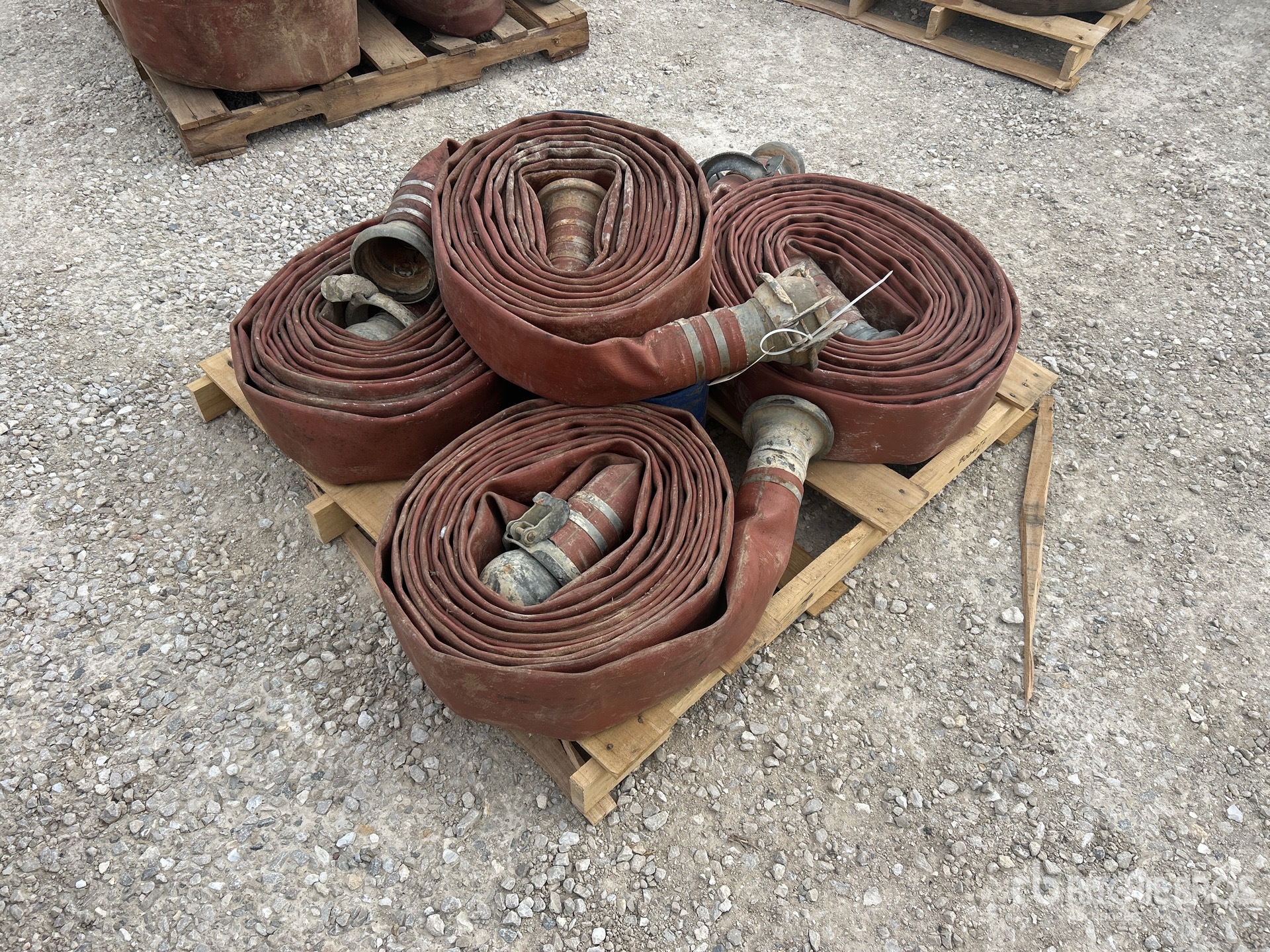 General Appearance with Zdjęcie, prawy górny róg