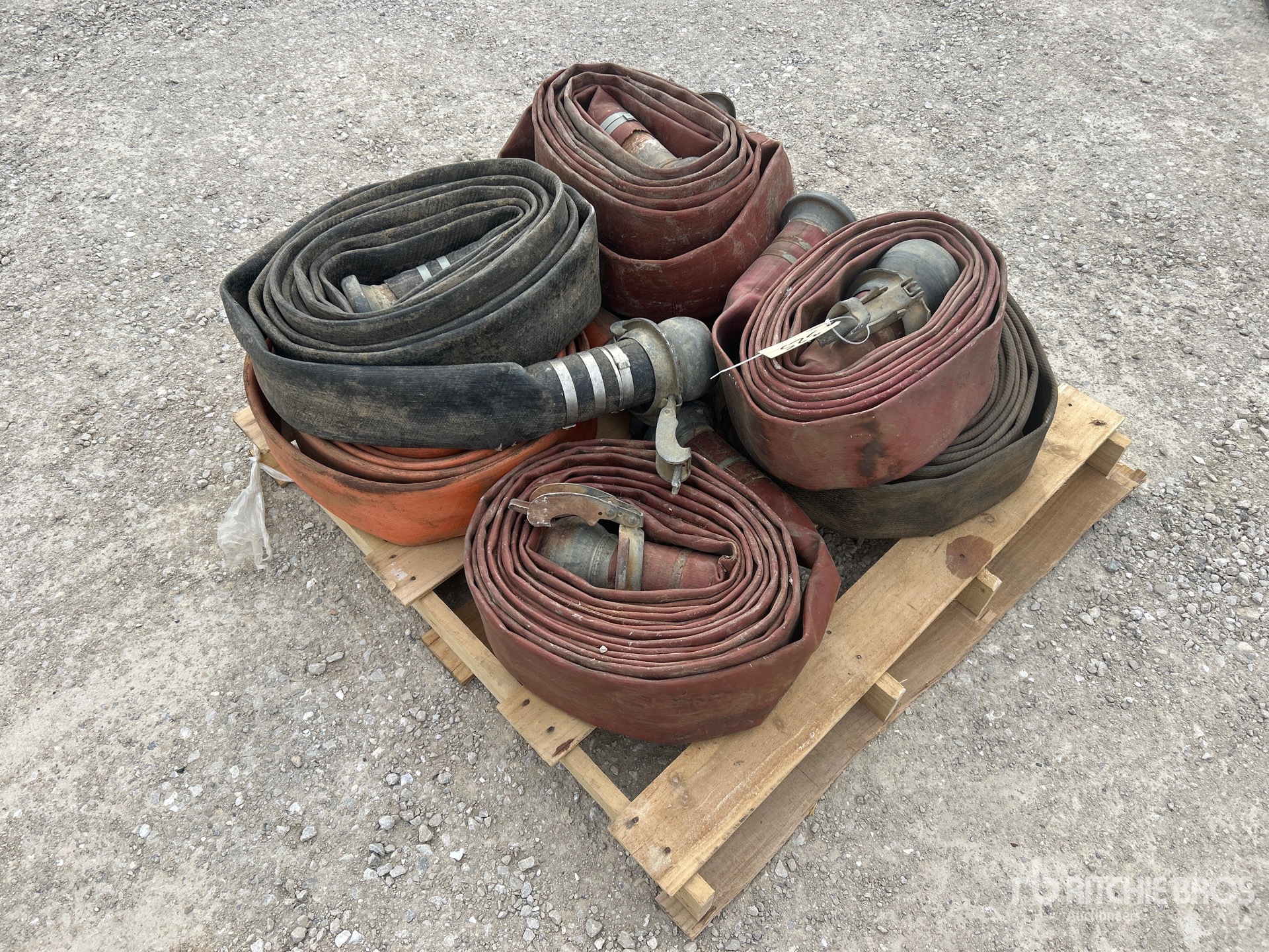 General Appearance with Zdjęcie, lewy dolny róg