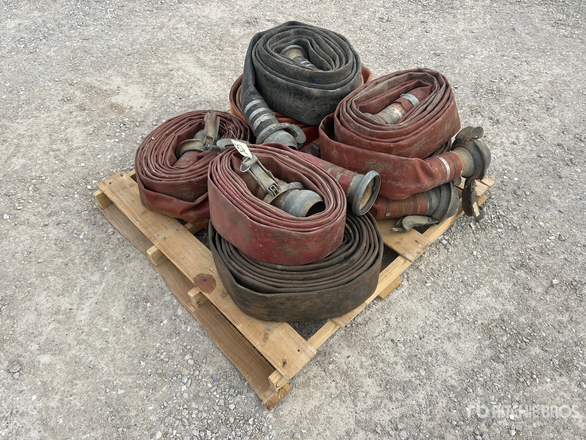 General Appearance with Zdjęcie, prawy dolny róg