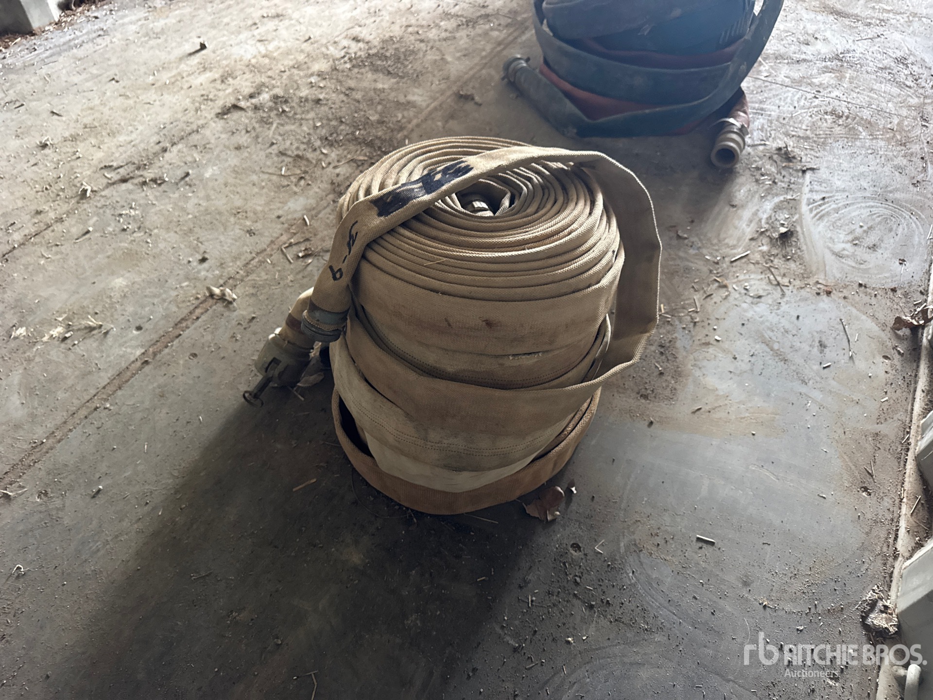 General Appearance with Bild, Ecke hinten rechts