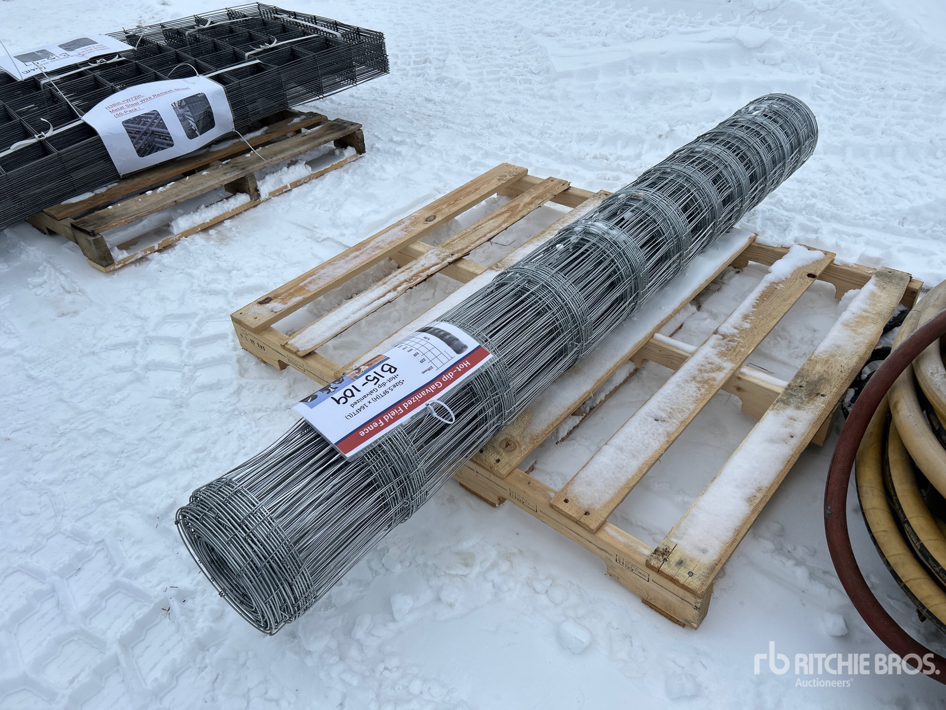 General Appearance with Bild, Ecke vorne links