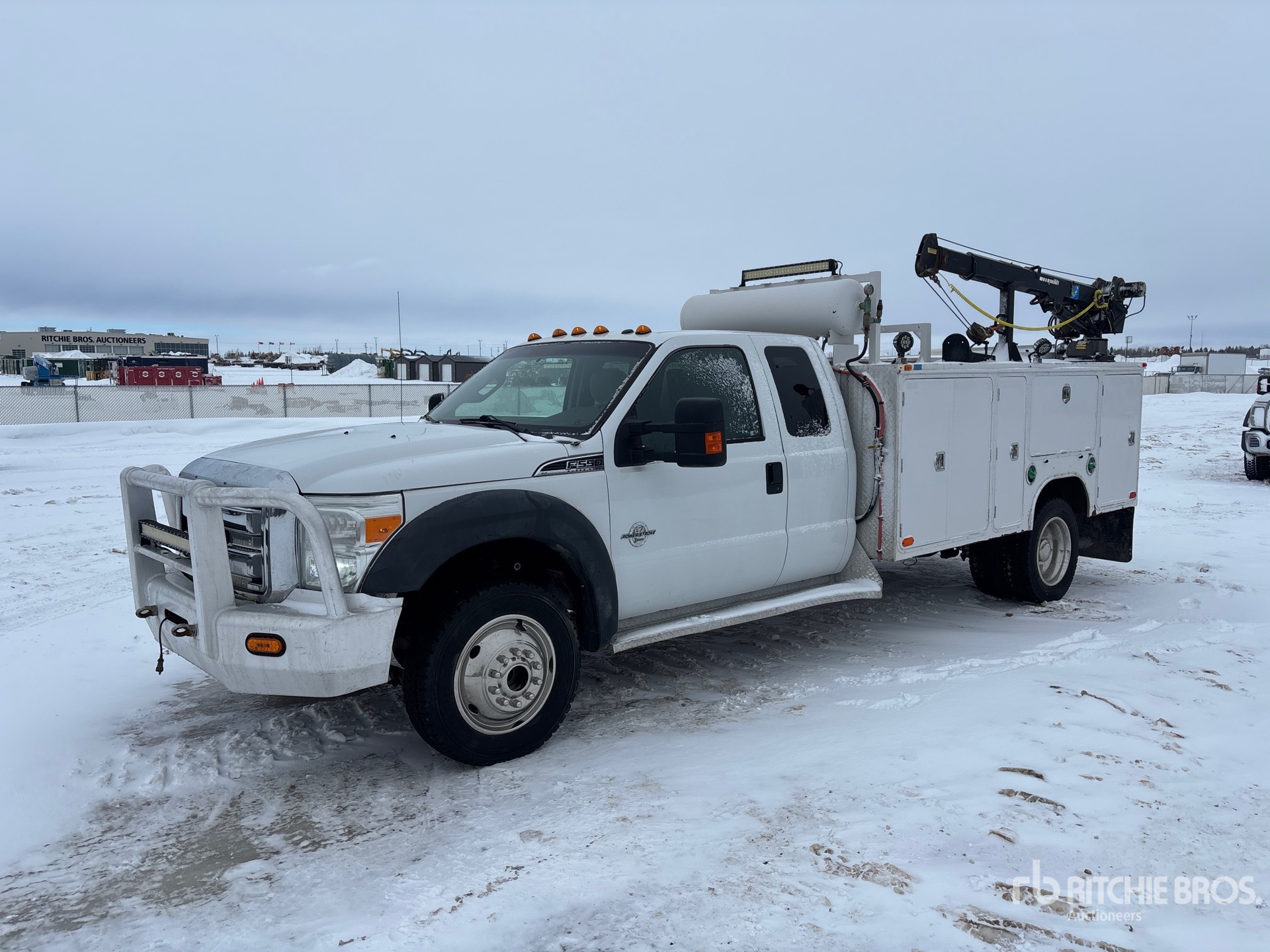 General Appearance with Spin