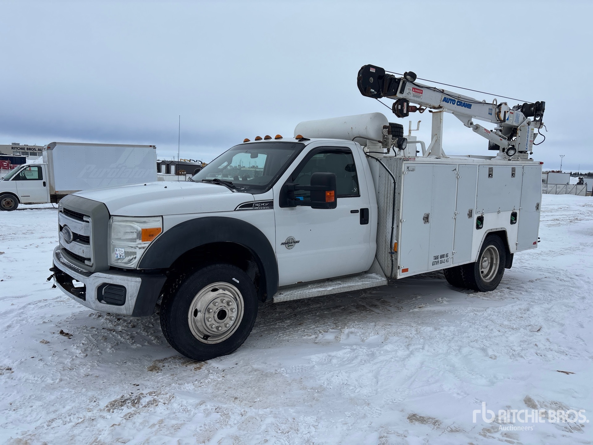 General Appearance with Spin