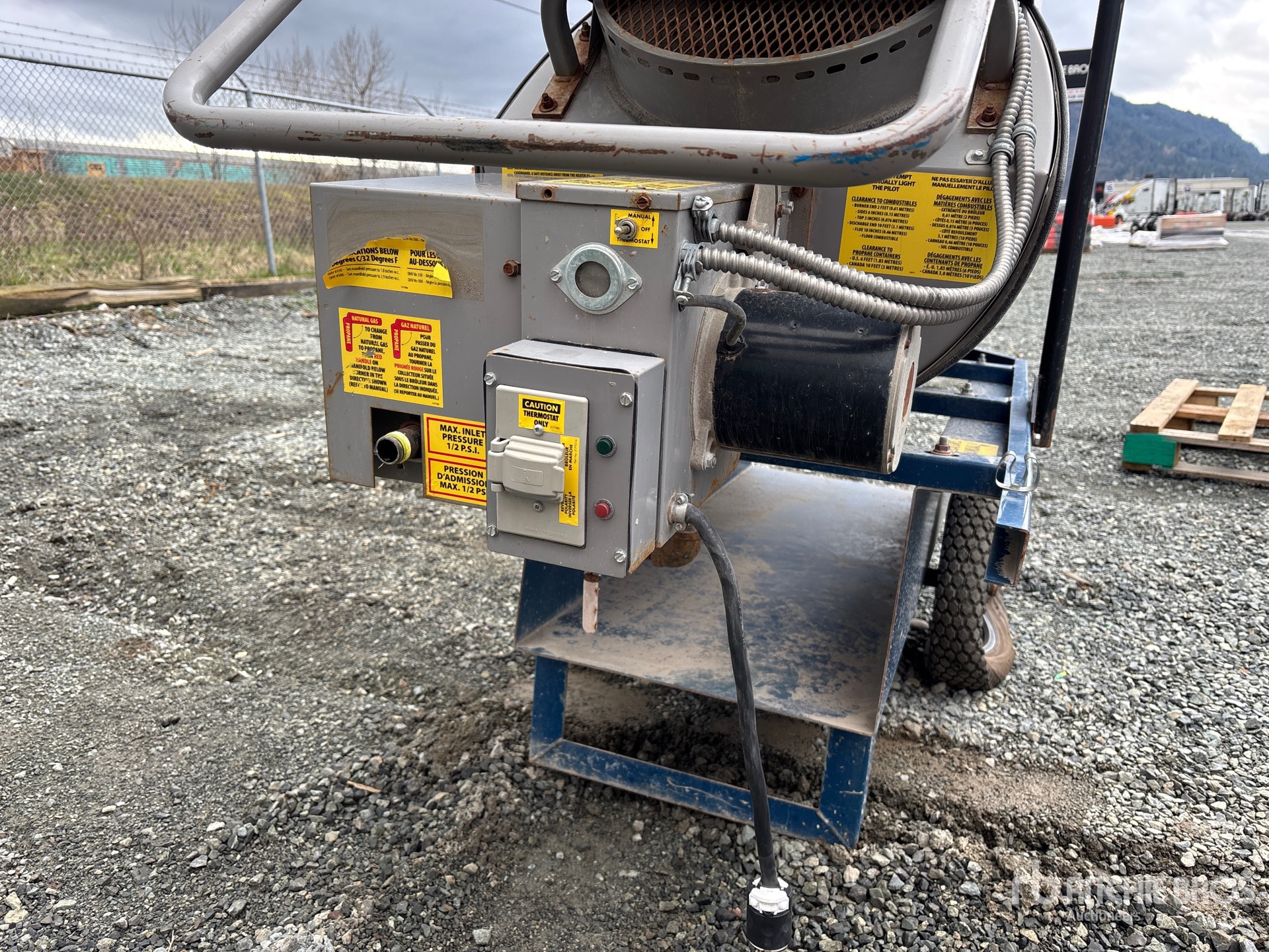 General Appearance with