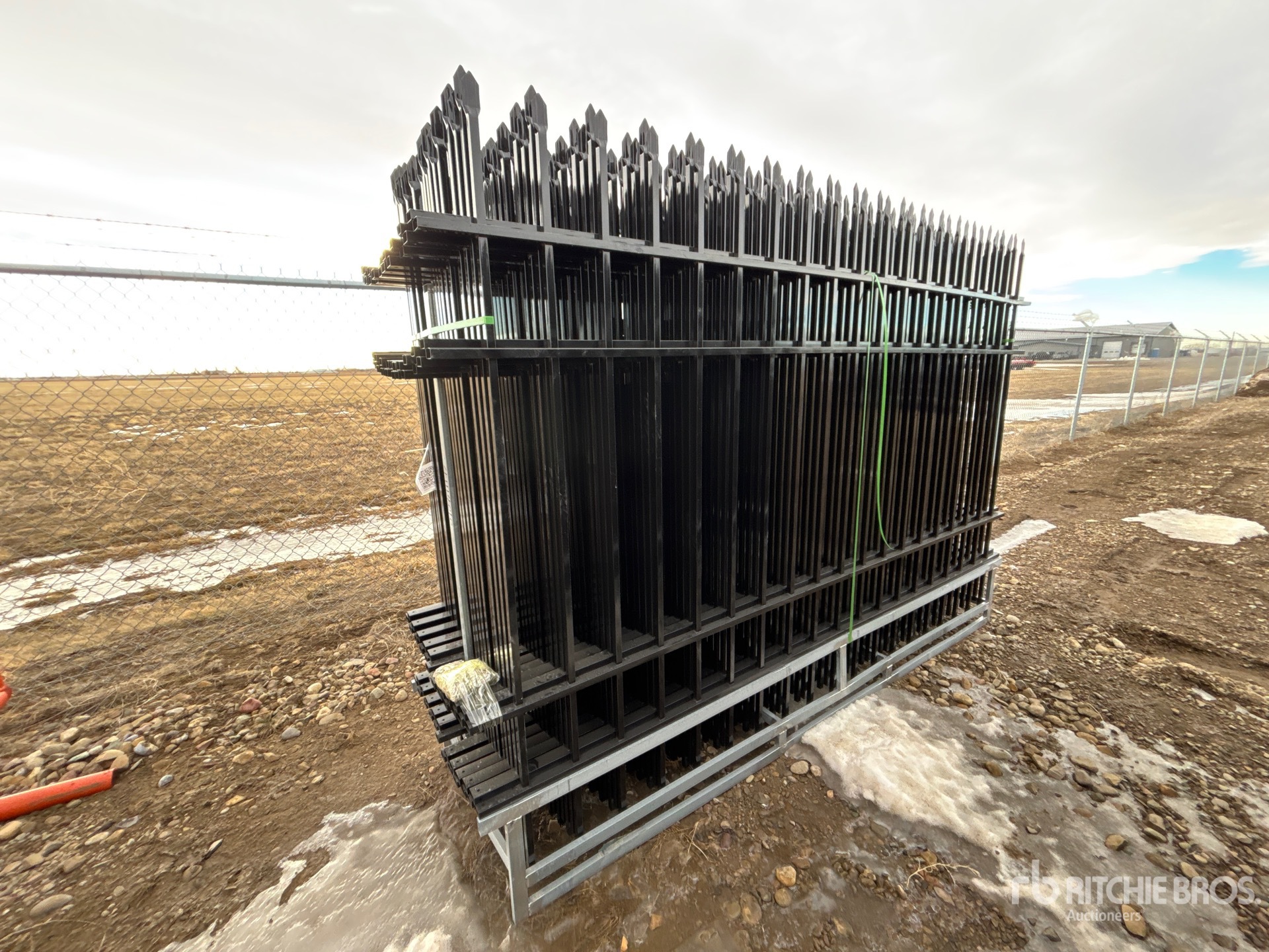 General Appearance with Zdjęcie, prawy górny róg