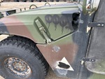 General Appearance with Paint