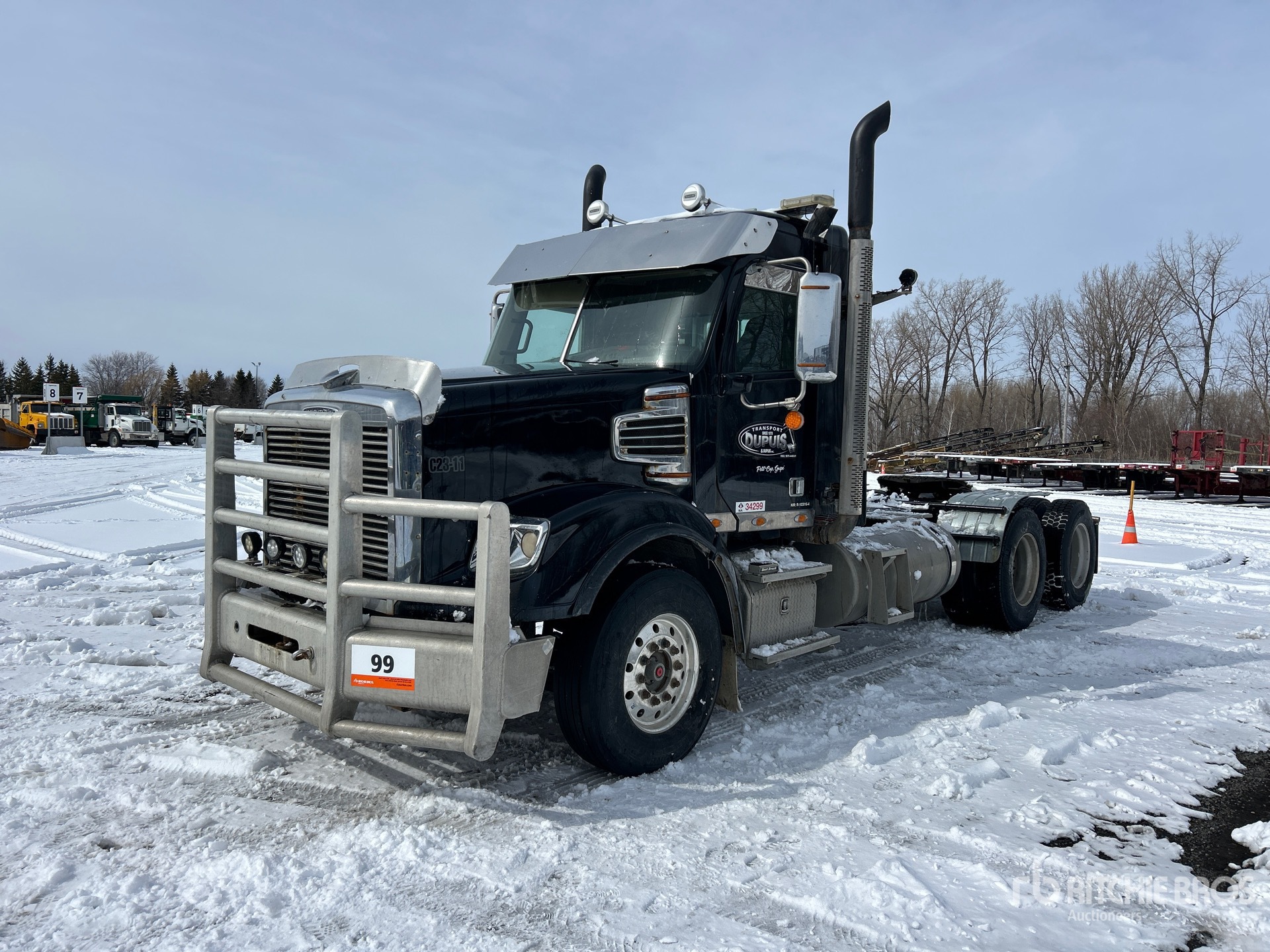 General Appearance with Spin