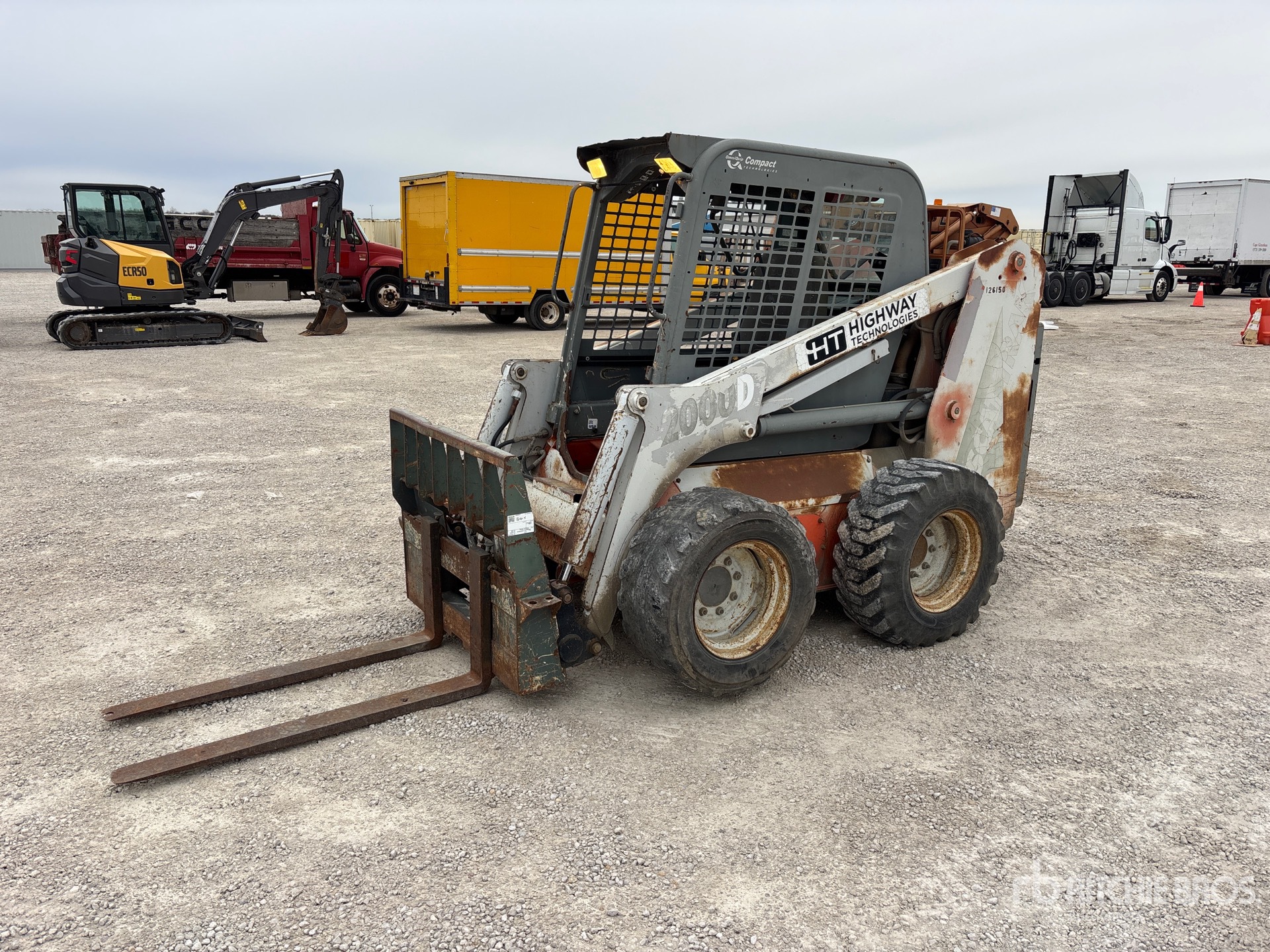 General Appearance with Spin