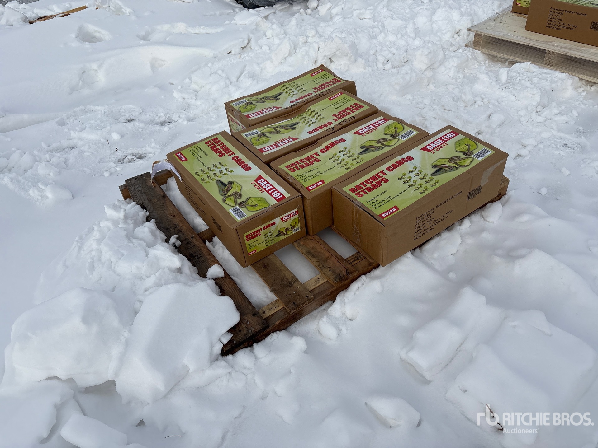 General Appearance with Image, coin arrière droit