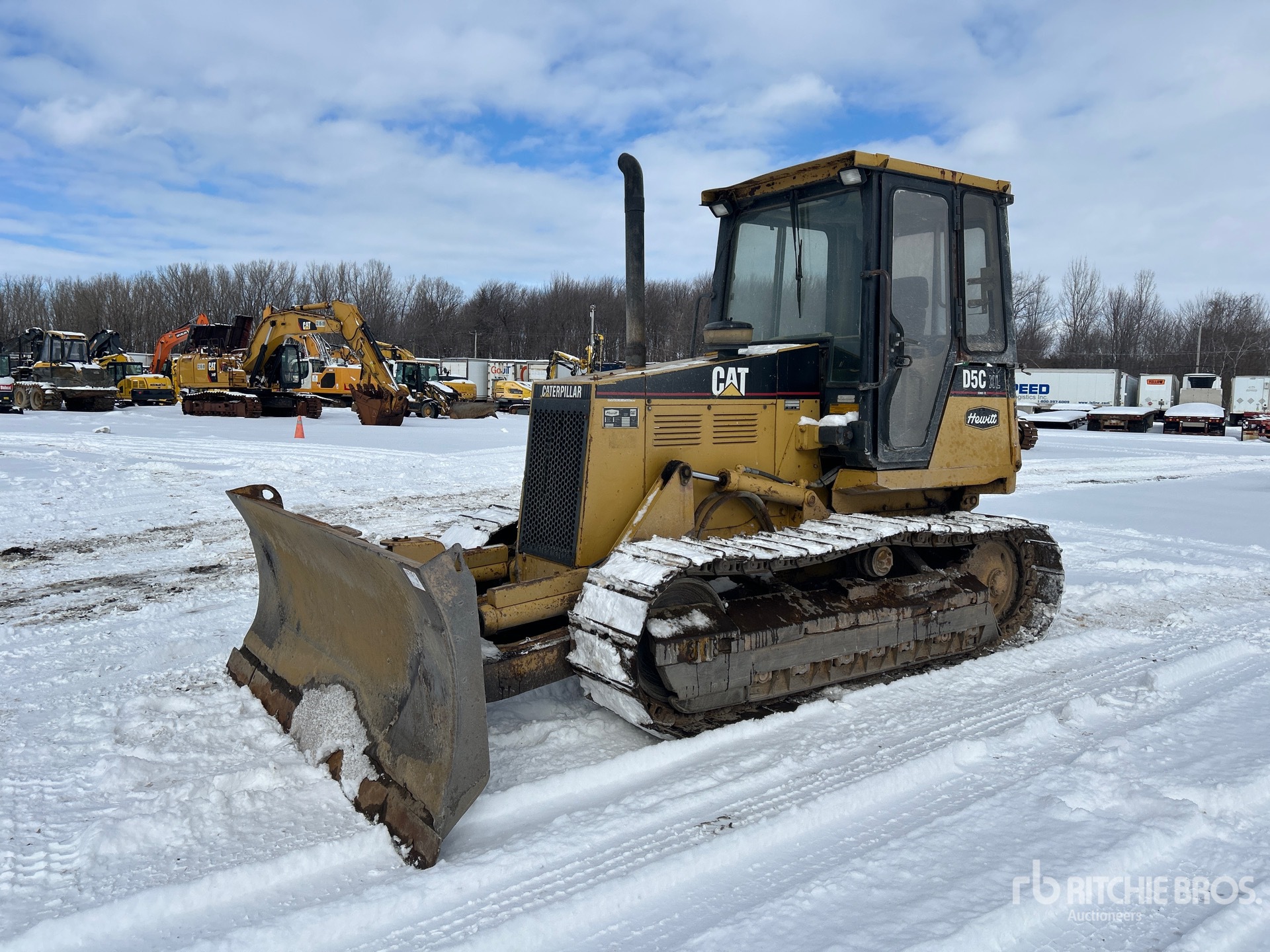 General Appearance with Spin