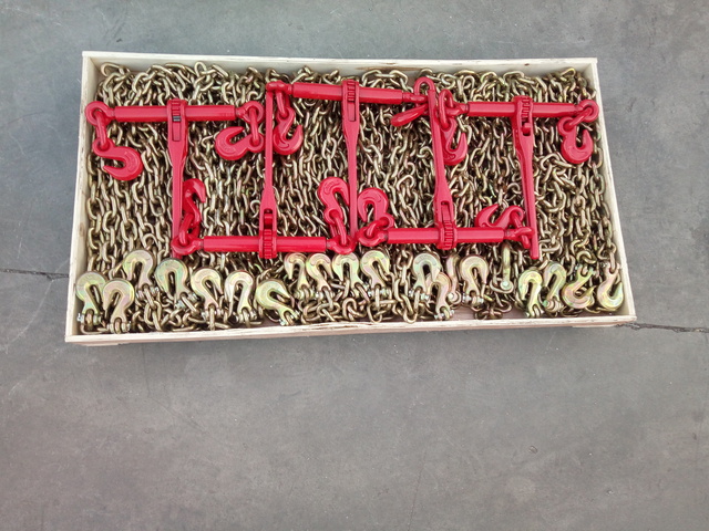 Quantity of 2026 Suihe BC-9200 Ratchet Binders & Chains (Unused)