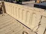 General Appearance with Paint