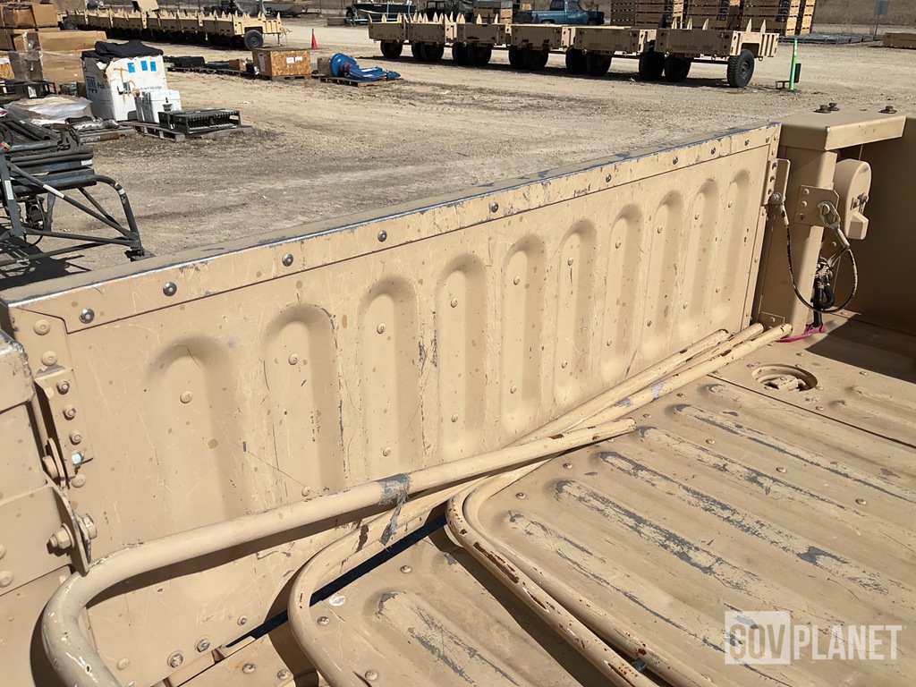 General Appearance with Paint
