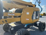 General Appearance with Paint