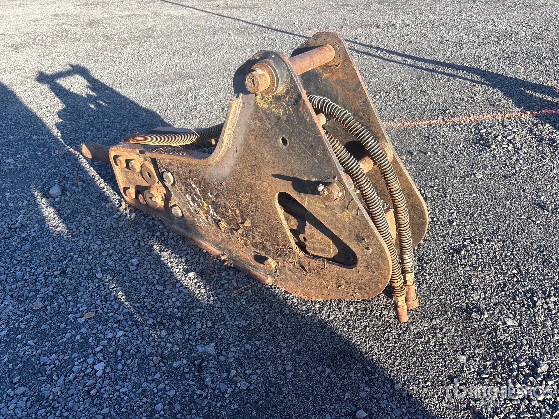 General Appearance with Zdjęcie, lewy dolny róg