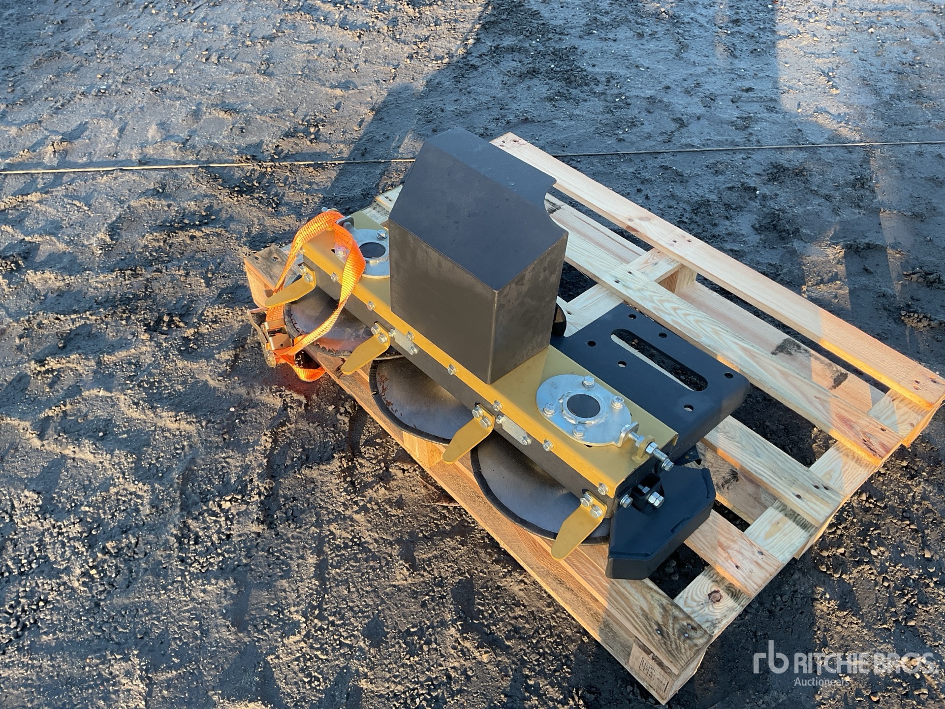 General Appearance with Zdjęcie, prawy dolny róg