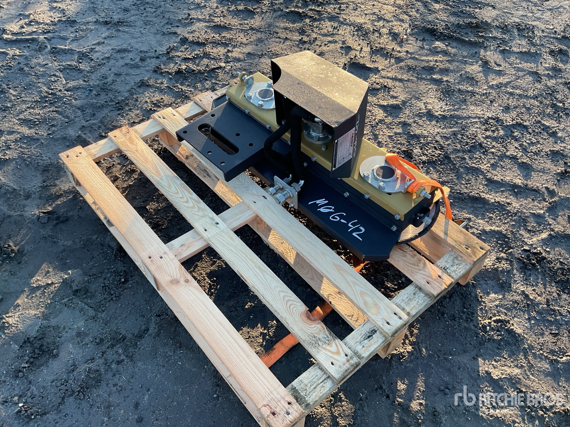 General Appearance with Zdjęcie, lewy górny róg