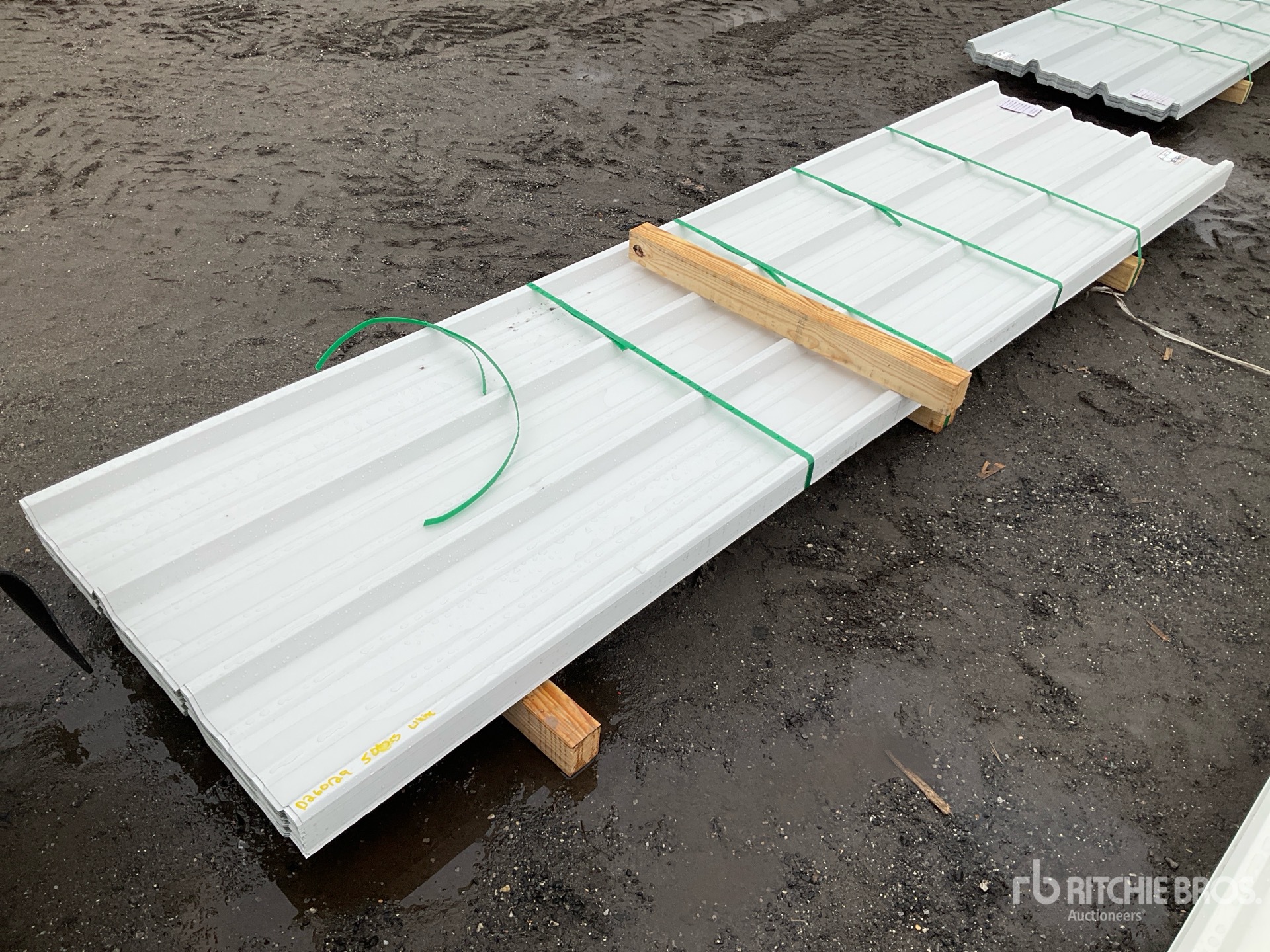 General Appearance with Foto, angolo anteriore sinistro