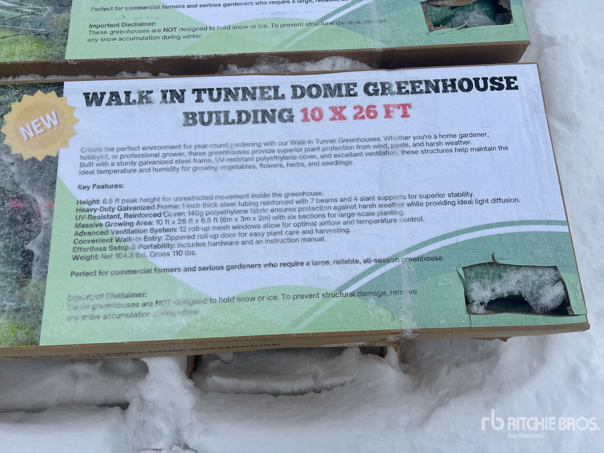 General Appearance with